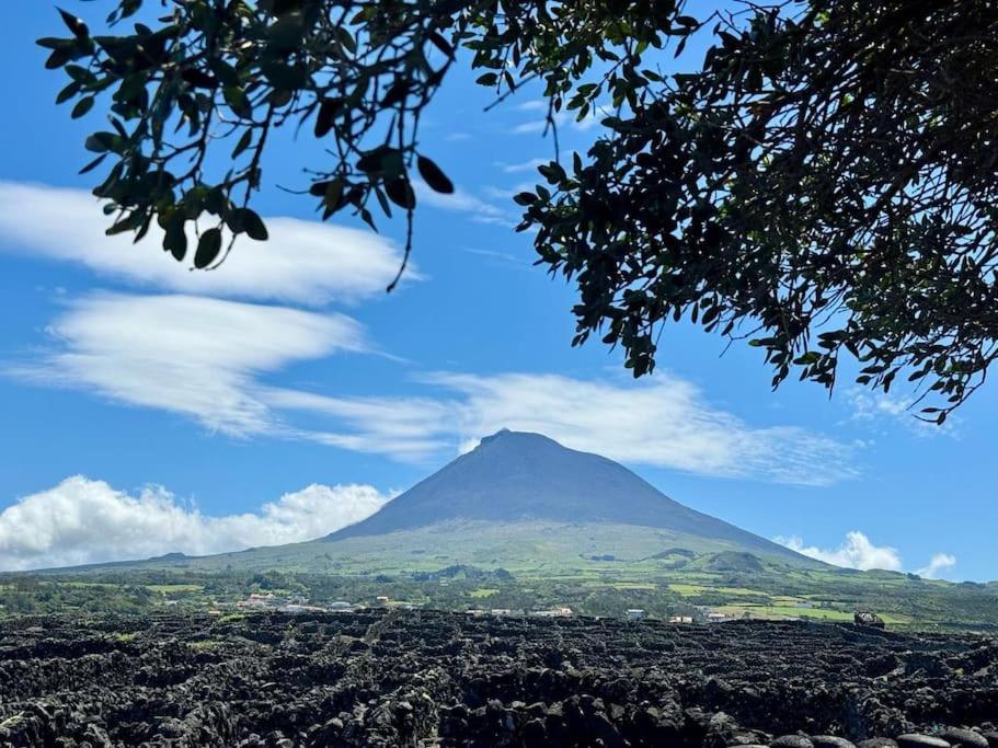 Pico Island Villas Madalena  Bagian luar foto