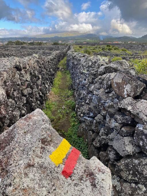 Pico Island Villas Madalena  Bagian luar foto