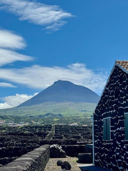 Pico Island Villas Madalena  Bagian luar foto